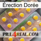 Érection Dorée new10